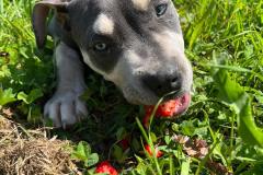 485101658_9596719653699916_6273642300583324373_n