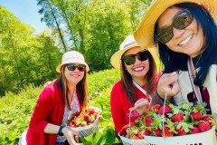 486245701_1102640725239795_7695737841792436356_n